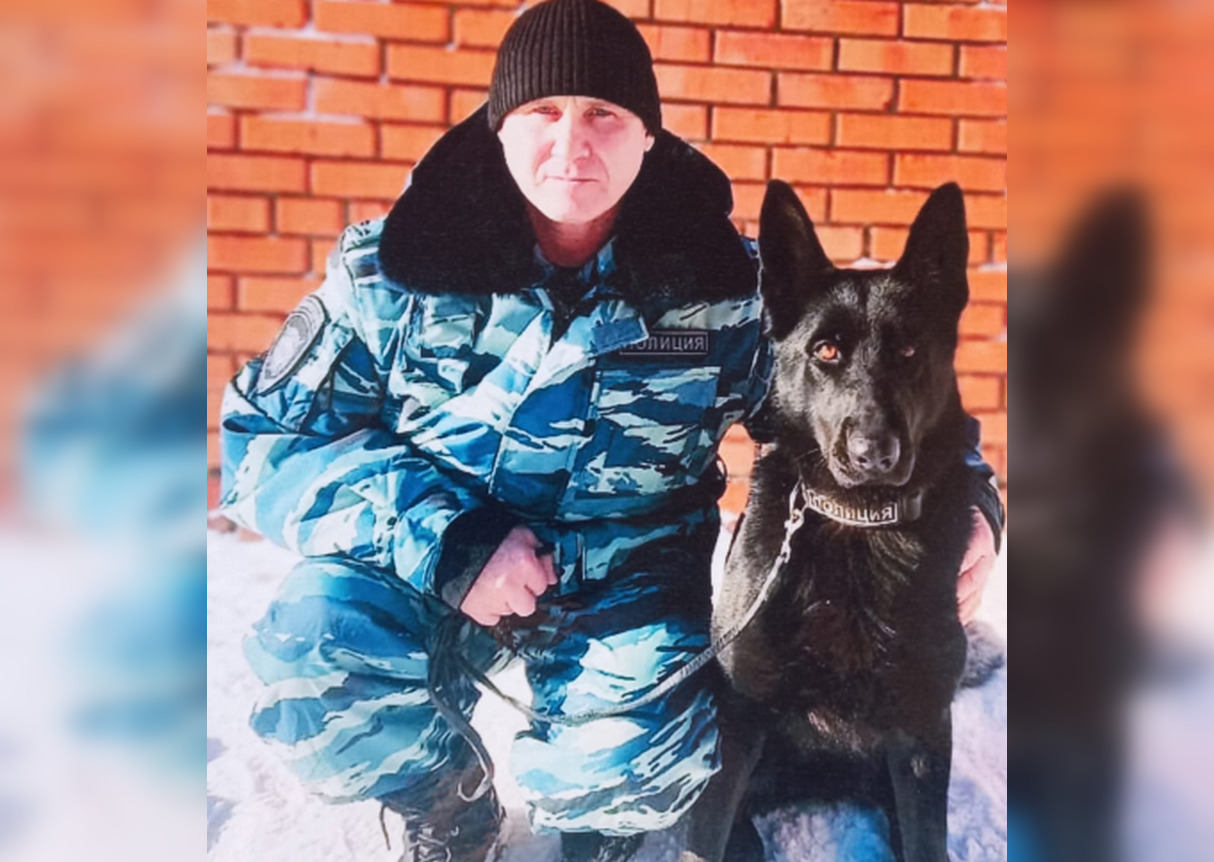 В чувашской деревне разобрали стену и залезли в магазин: как собака Зара вышла на след преступника