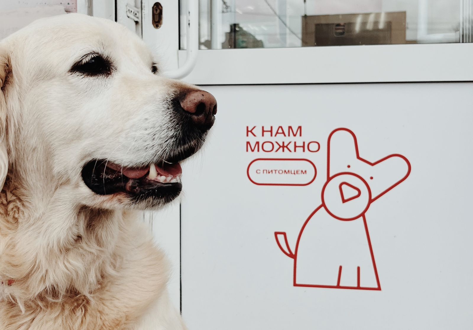 Магазины МТС в Чувашии открылись для домашних животных 