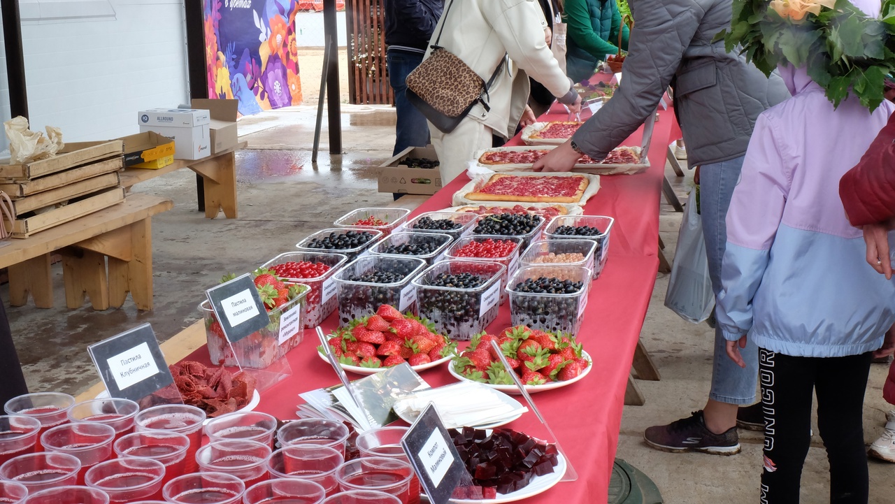 Фудкорт, сцена, фотозоны и ягоды от фермеров: в Чувашии проведут второй ягодный фестиваль