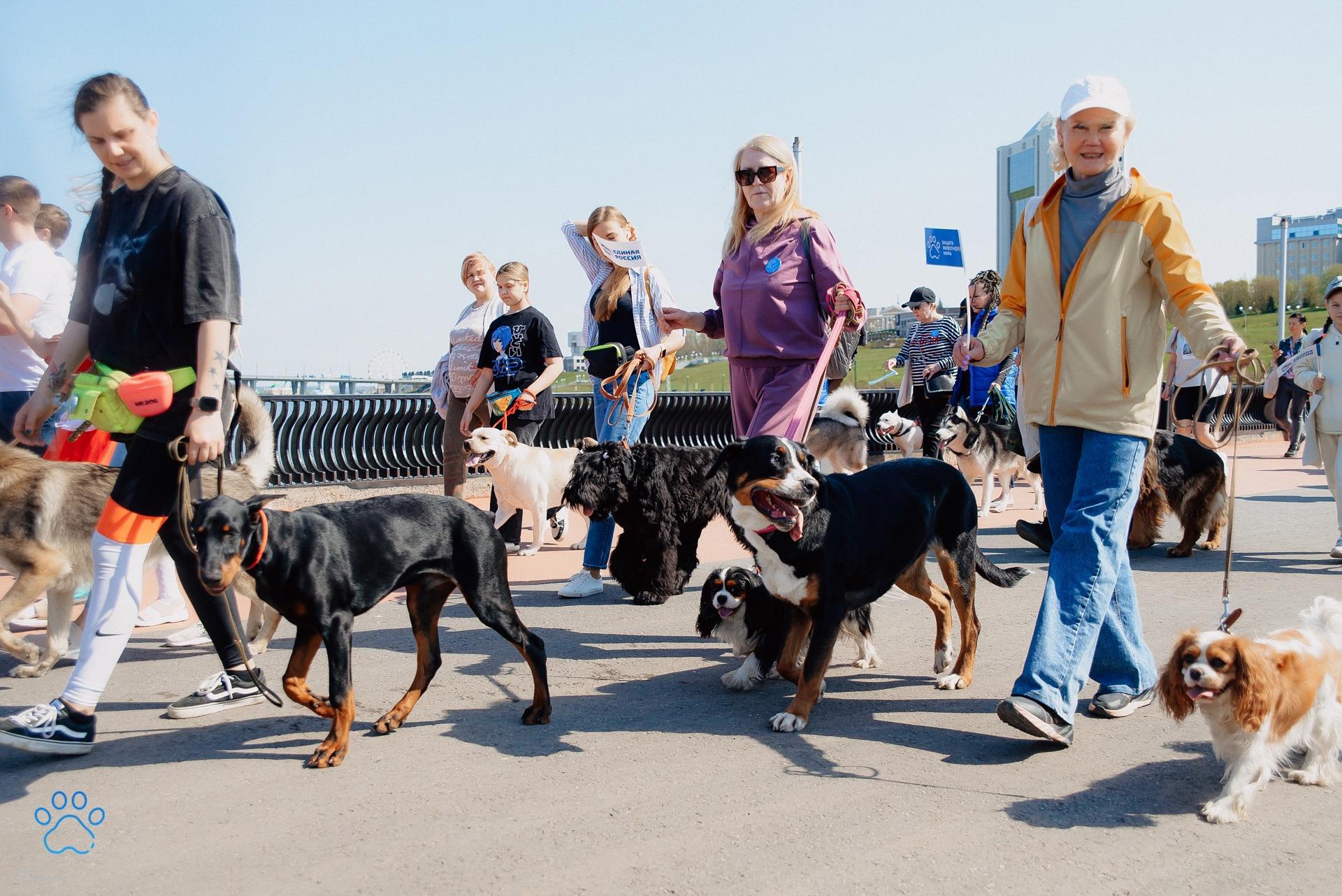 В Чебоксарах пройдет парад собак с концертом и развлекательной программой