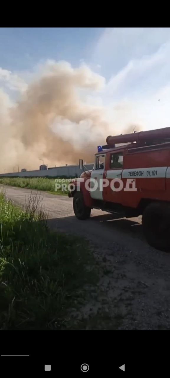 В Лапсарах горит здание: пожарные тушат крупный пожар