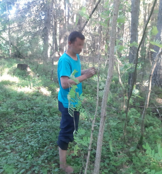 В лесу Архангельской области нашелся житель Чувашии, который не помнил свое имя