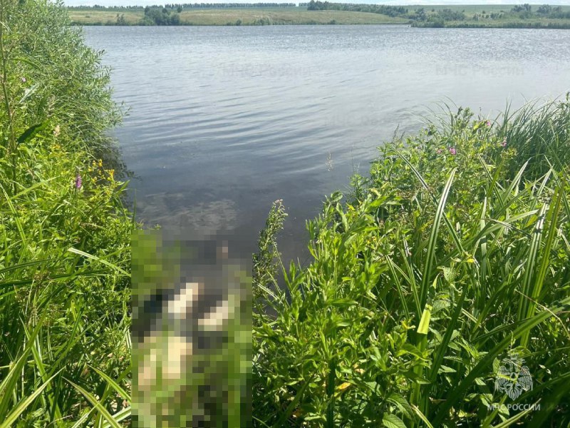 Житель Чувашии утонул в пруду, который не предназначен для купания