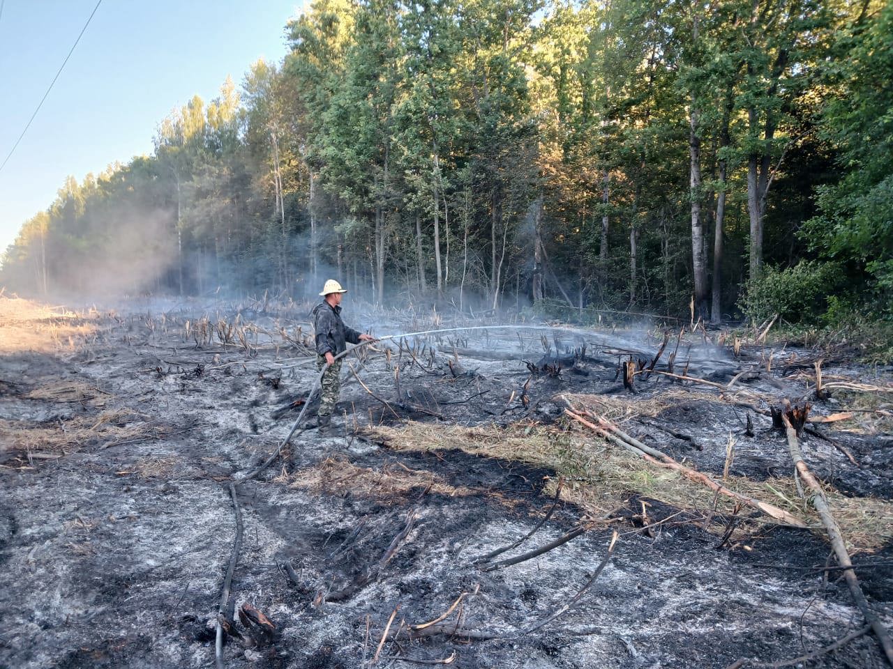 В Шумерлинском районе загорелся лес 