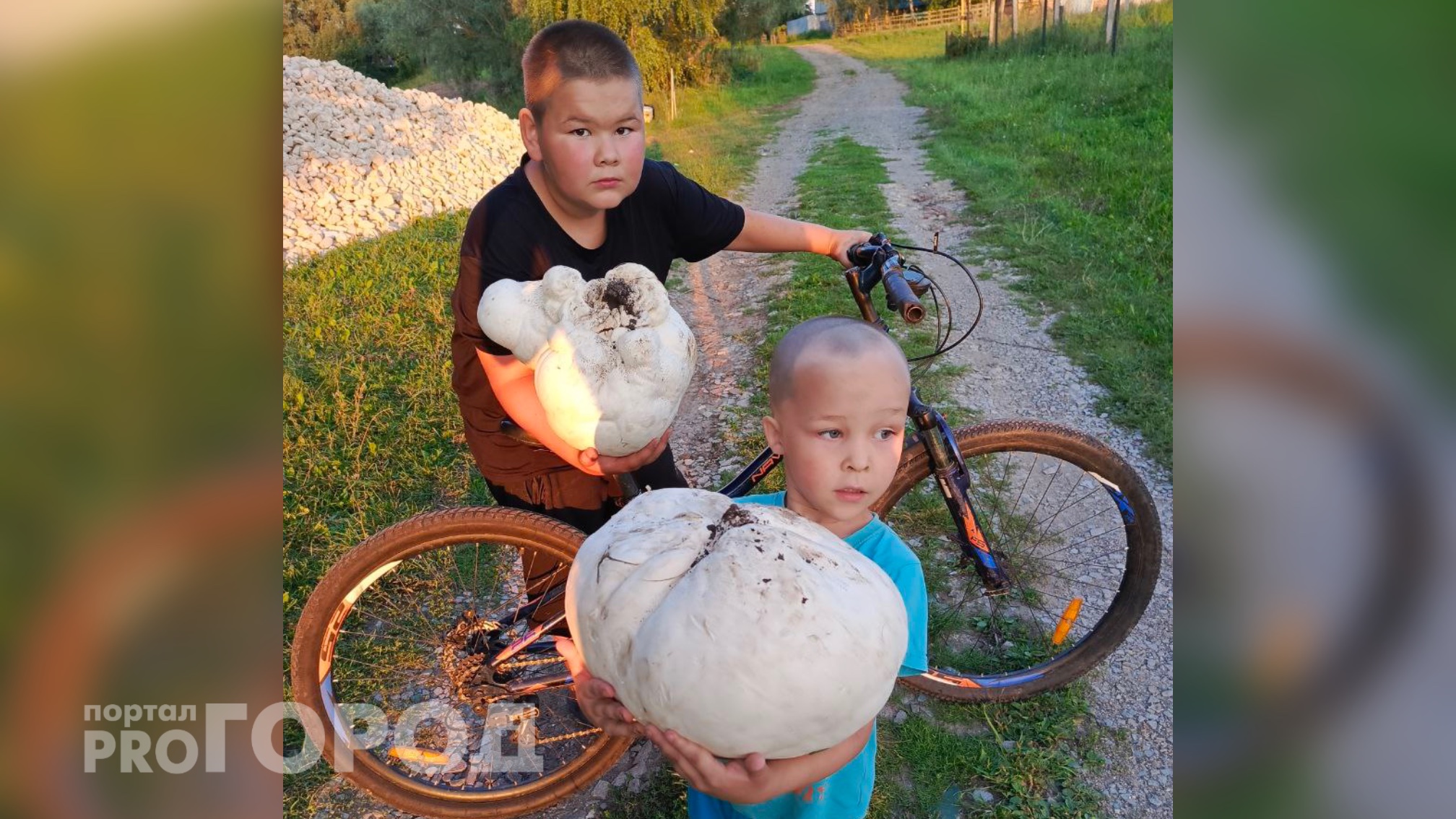 Жители Чувашии вышли на прогулку и нашли гигантские грибы