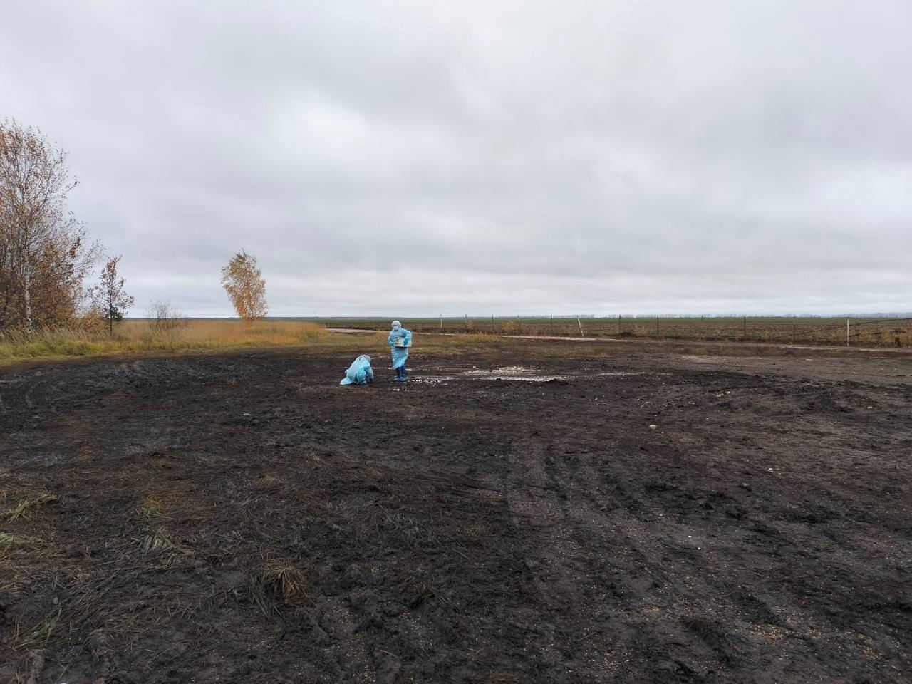 В Чувашии убрали свалку из костей и кишок, на которую пожаловался местный житель