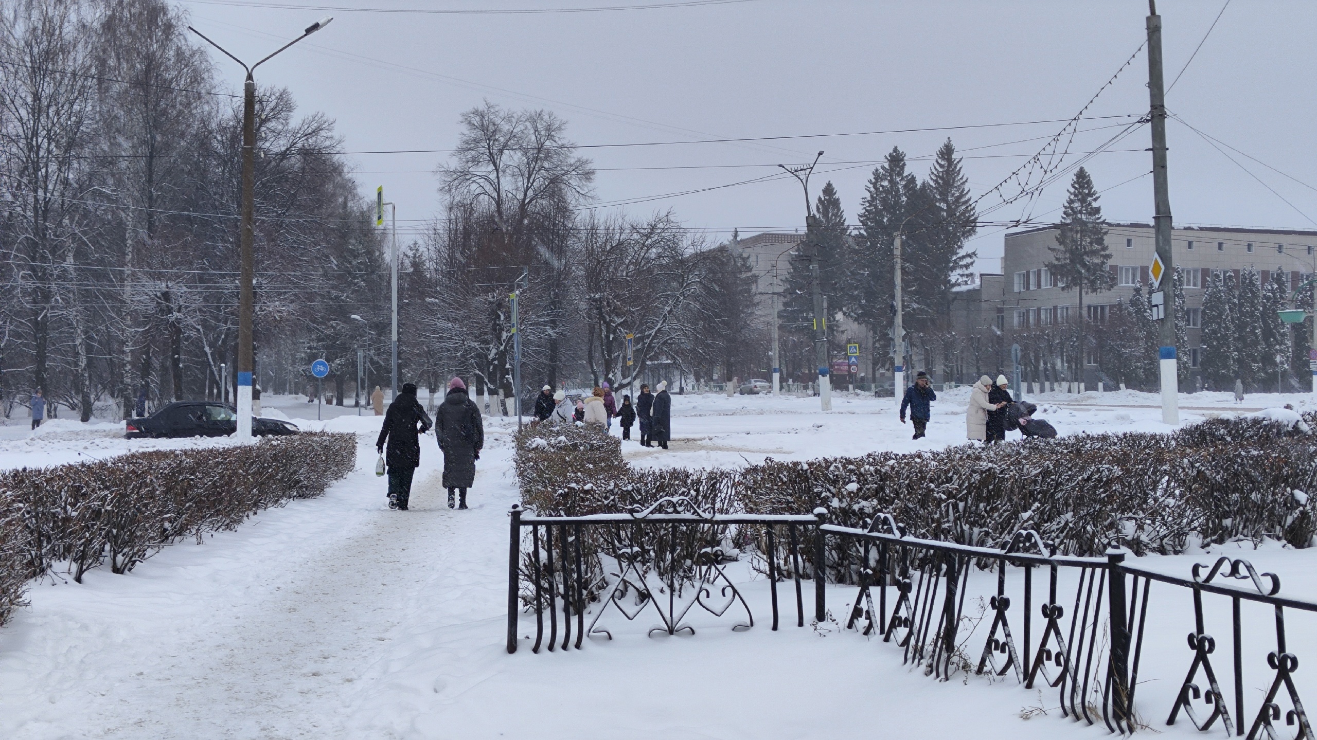 Ночью в Чувашии похолодает, а днем будет облачно и пойдет снег