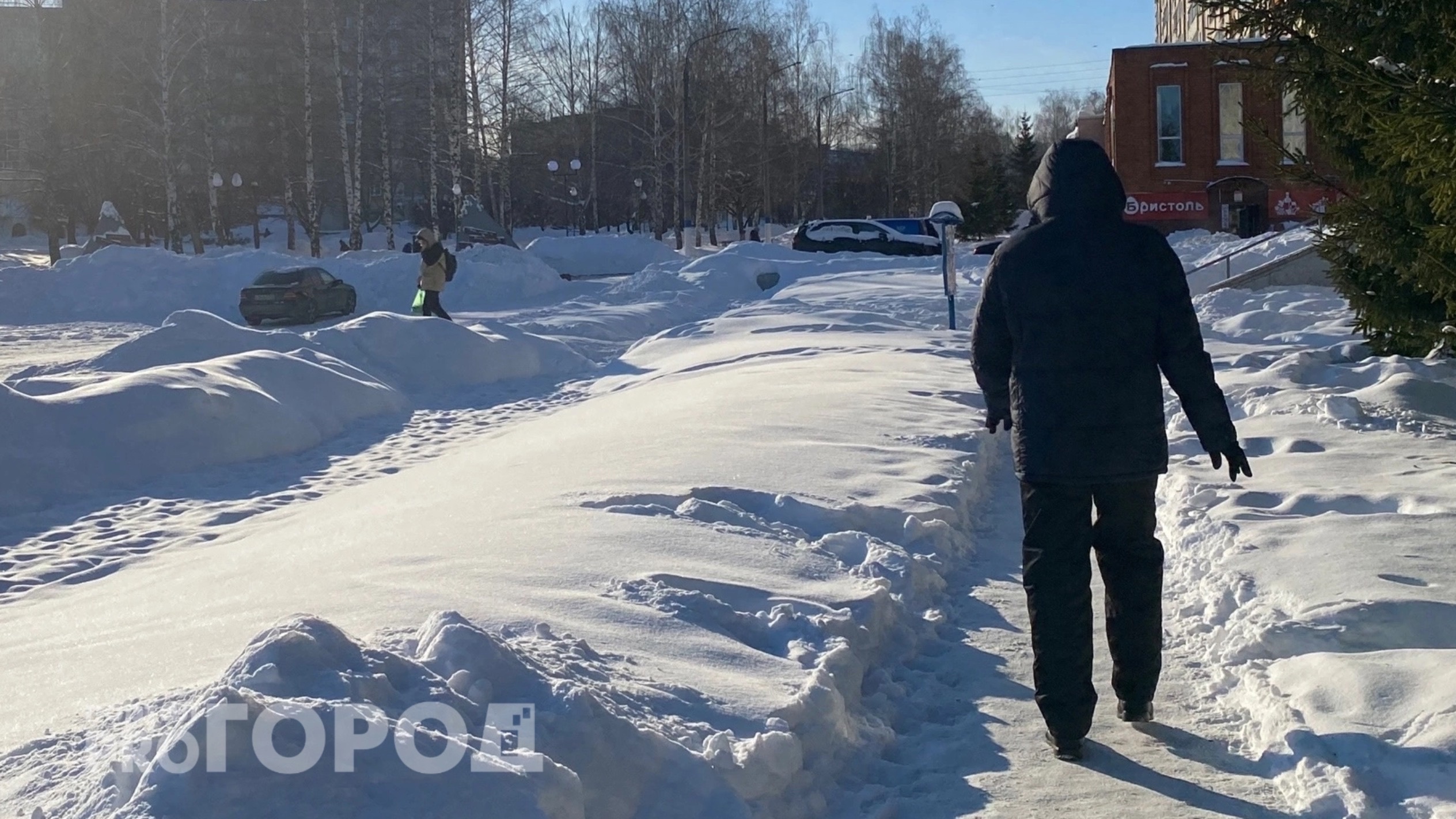 В Янтиковском районе у школьного учителя удерживали зарплату