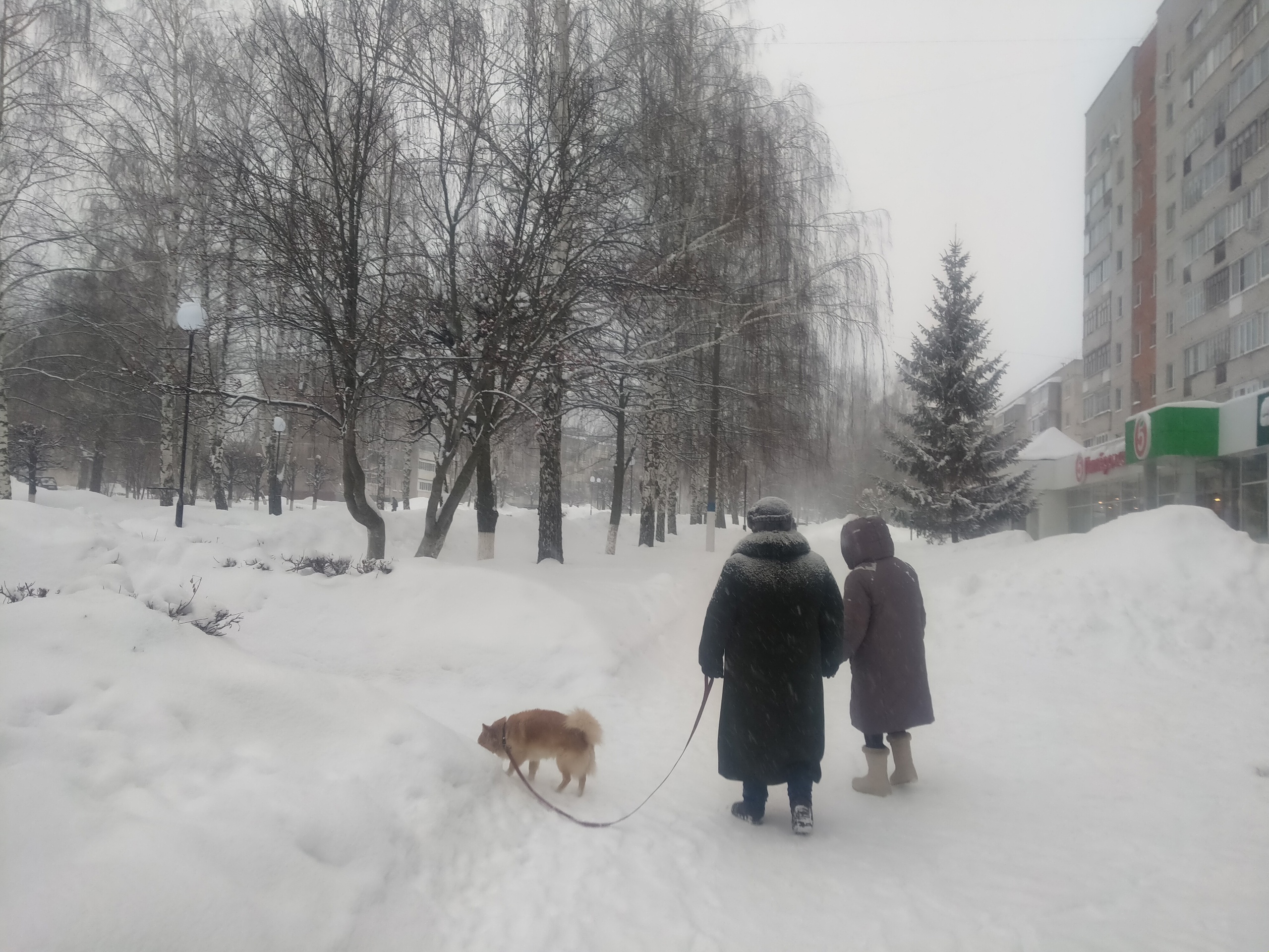 В воскресенье жителей Чувашии ждет снегопад, а дневная температура понизится до -13