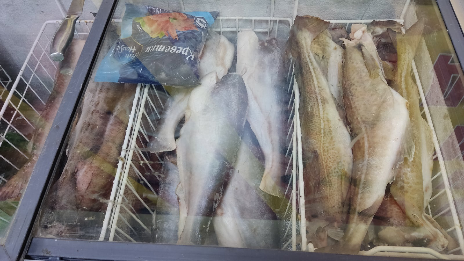В два раза вкуснее и дешевле красной икры: в Роскачестве назвали самую полезную рыбу