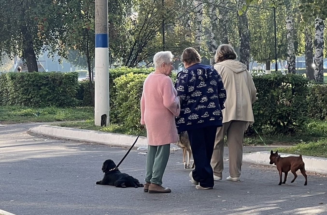 Так делают только долгожители: две привычки людей, доживающих до 100 лет