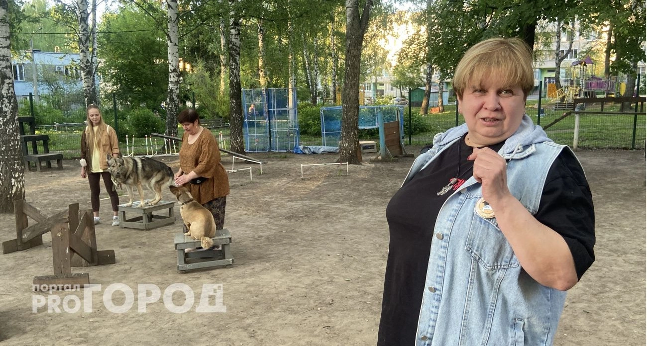 Тамагочи вместо собаки и отключение горячей воды: главные новости Чебоксар за 30.05.2025