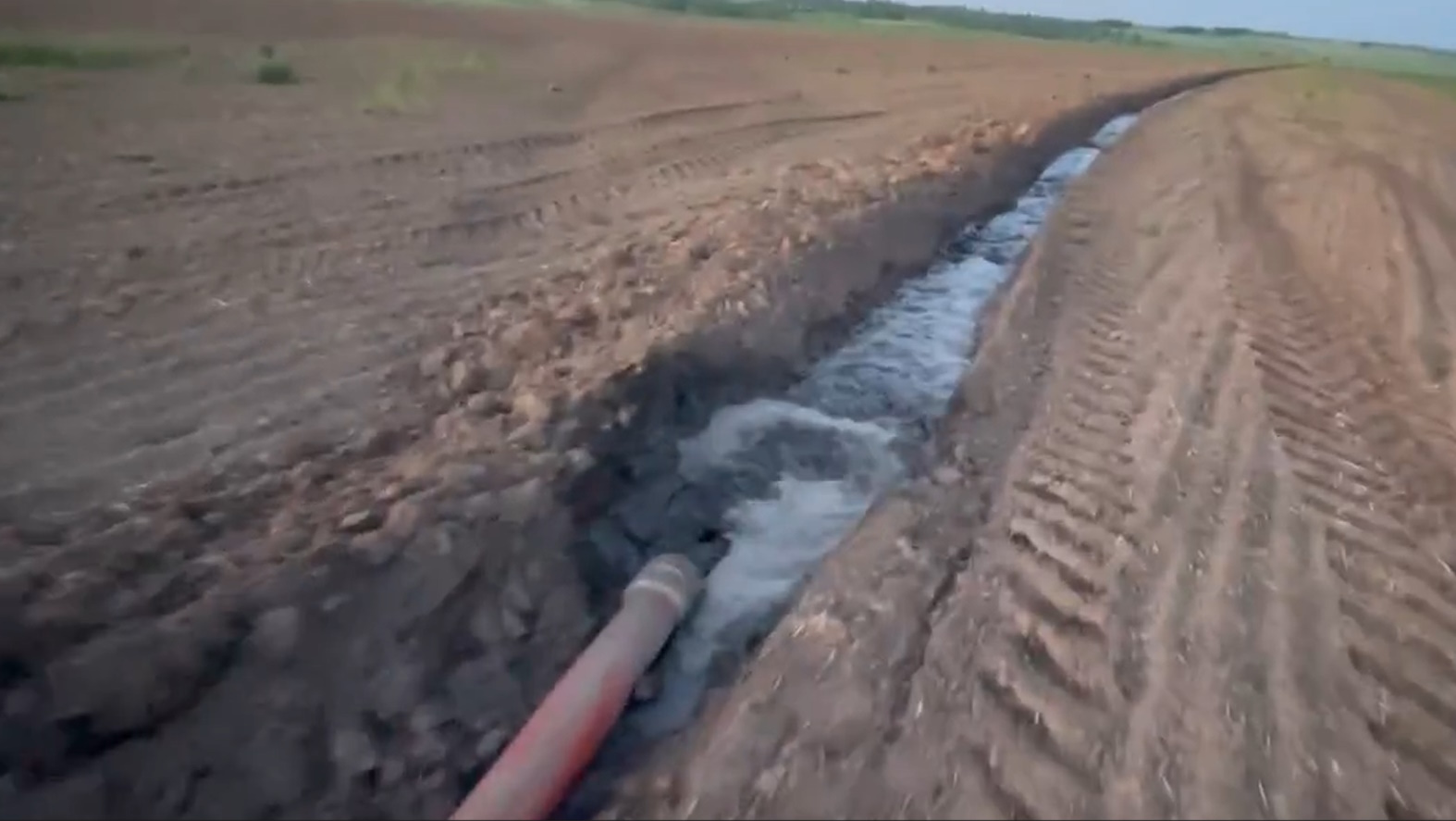 Жители Цивильского района жалуются, что местная свиноферма отравляет воду в реке