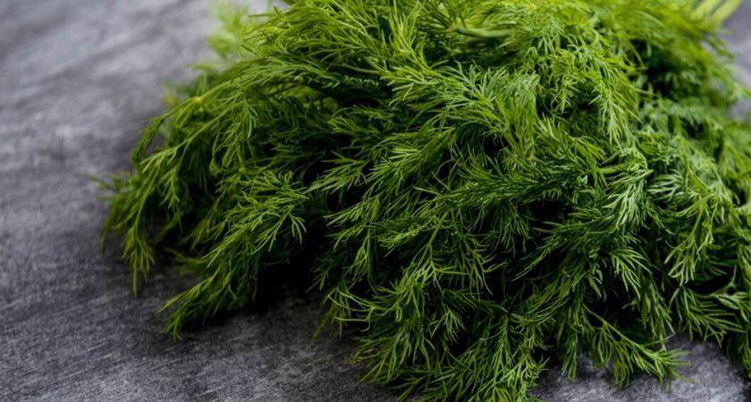 Зелень больше не морожу и не сушу: делаю ароматную приправу для любых блюд – хранится годами