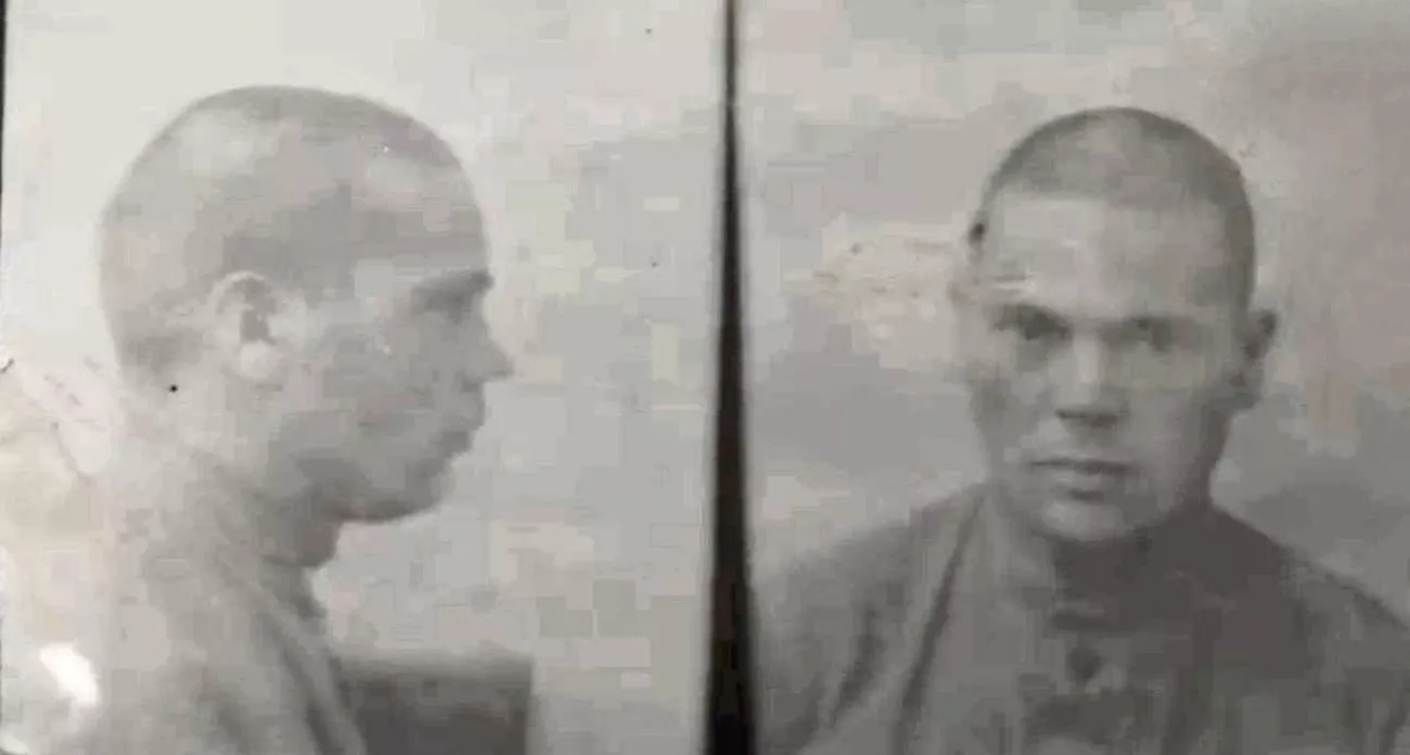 ФСБ рассекретила дело нацистских пособников и свиньи разрыли могилы на кладбище: главные новости за 10 октября в Чебоксарах