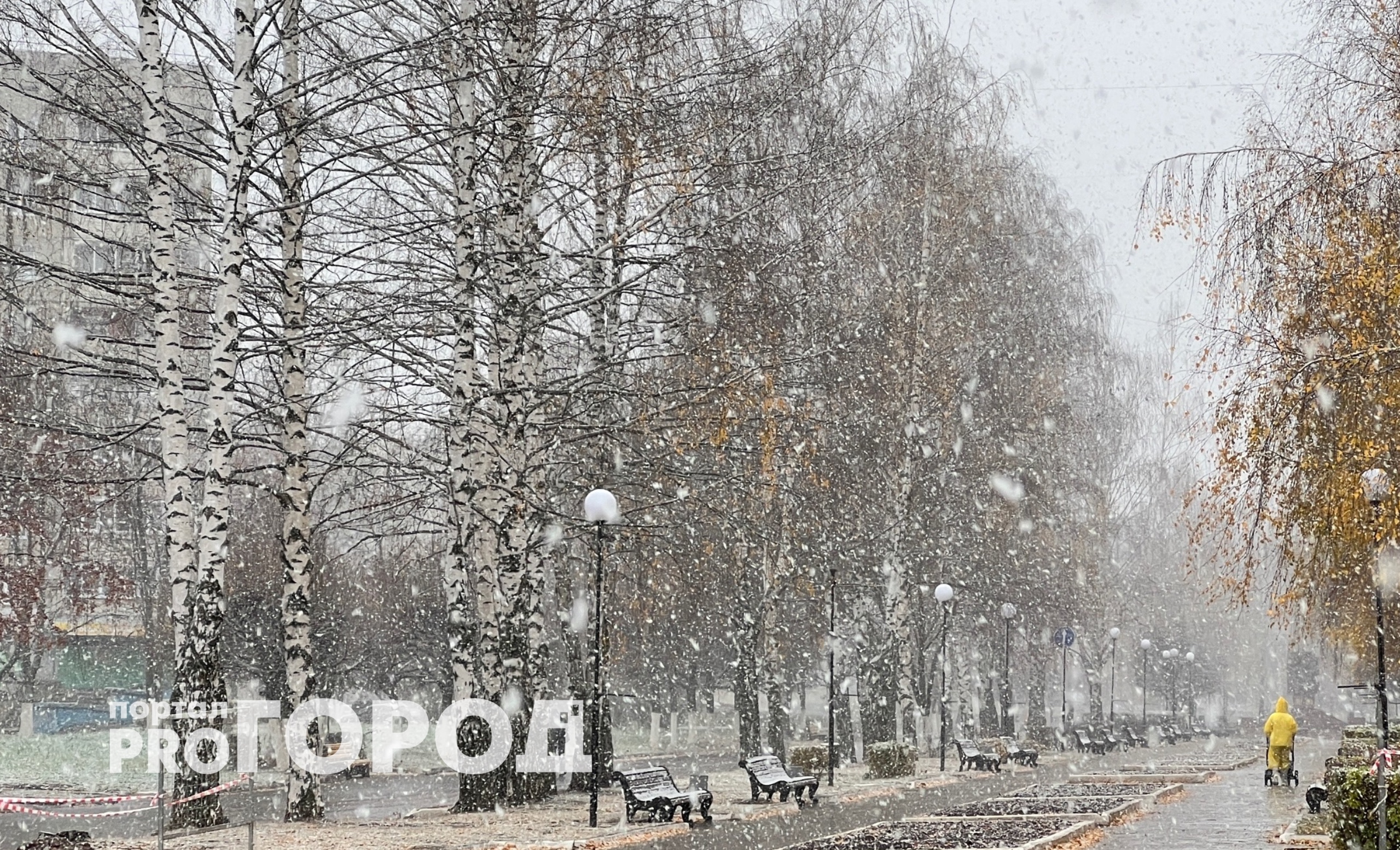 Приближается самый холодный день: Вильфанд прогнозирует снег и заморозки в октябре