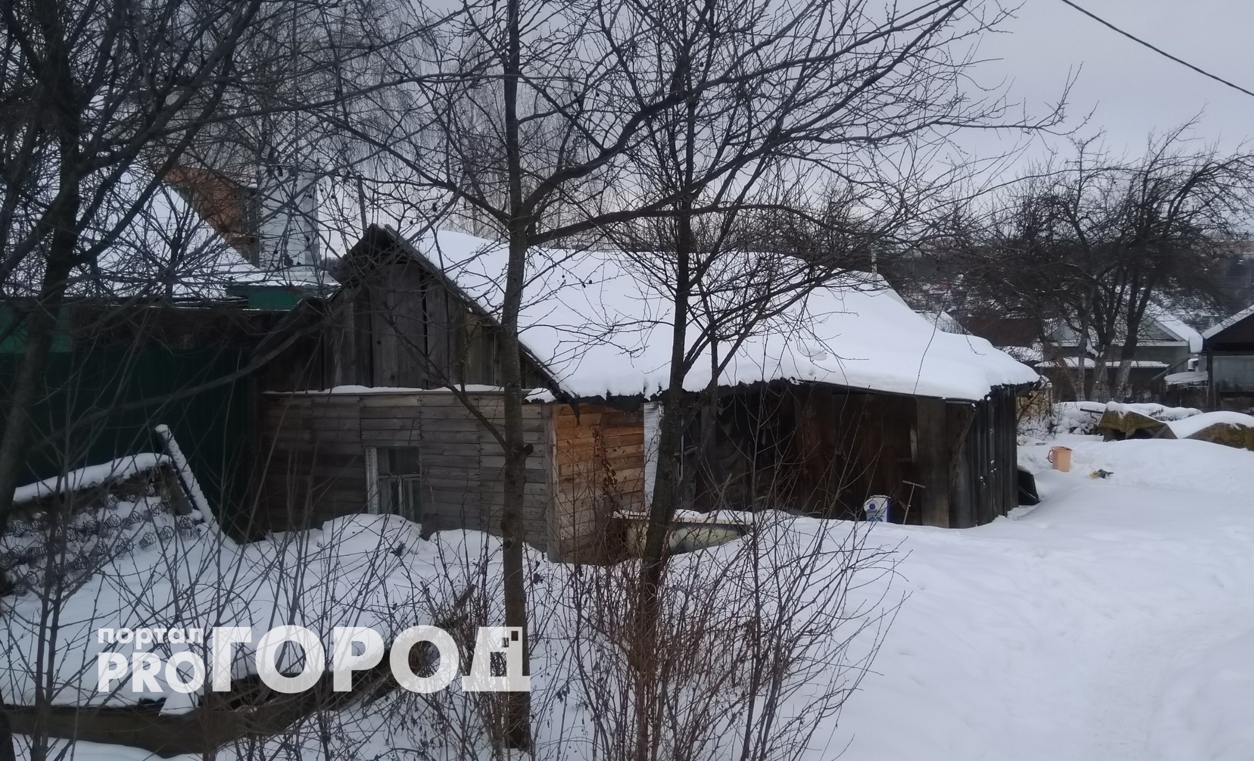 Забываю сделать перед заморозками, а потом страдаю: как подготовить огород к зиме