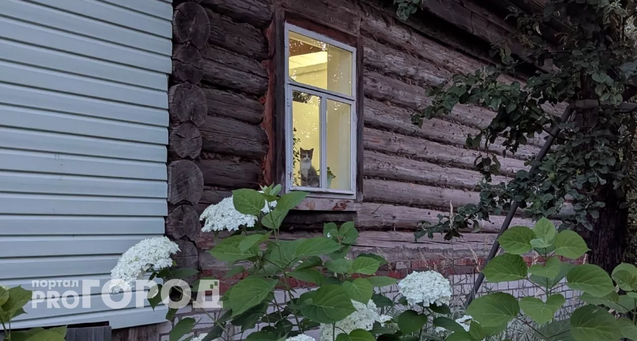 Самый дешевый деревенский дом и новое направление аэропорта: главные новости за 20 октября в Чебоксарах