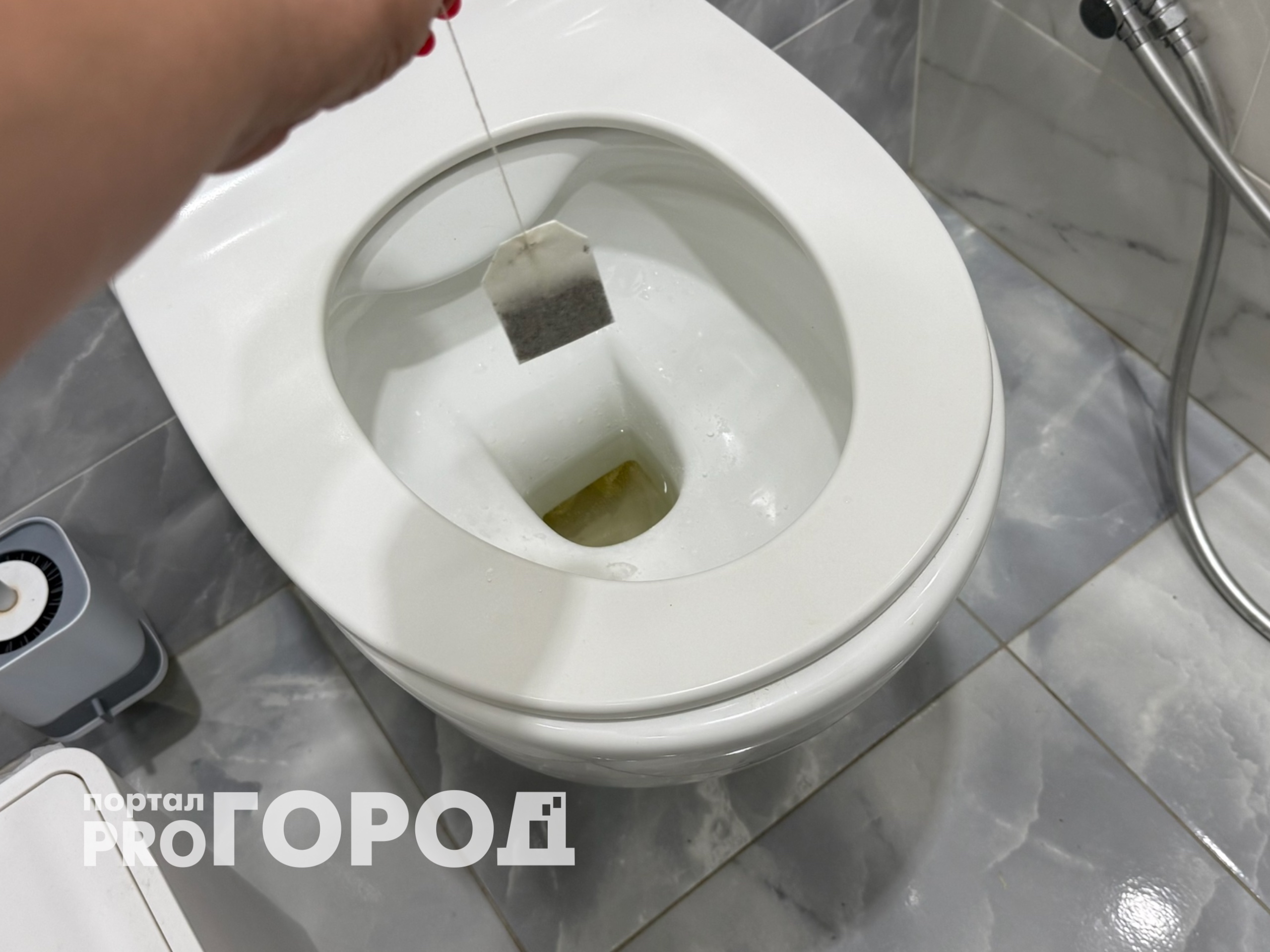 Уходя из дома бросаю чайный пакетик в унитаз: чудо-совет от опытной знакомой горничной