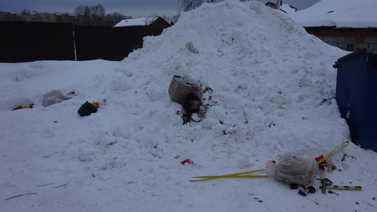 В Альгешево по несколько дней не вывозят мусор, а потом он разлетается |  20.02.2019 | Чебоксары - БезФормата