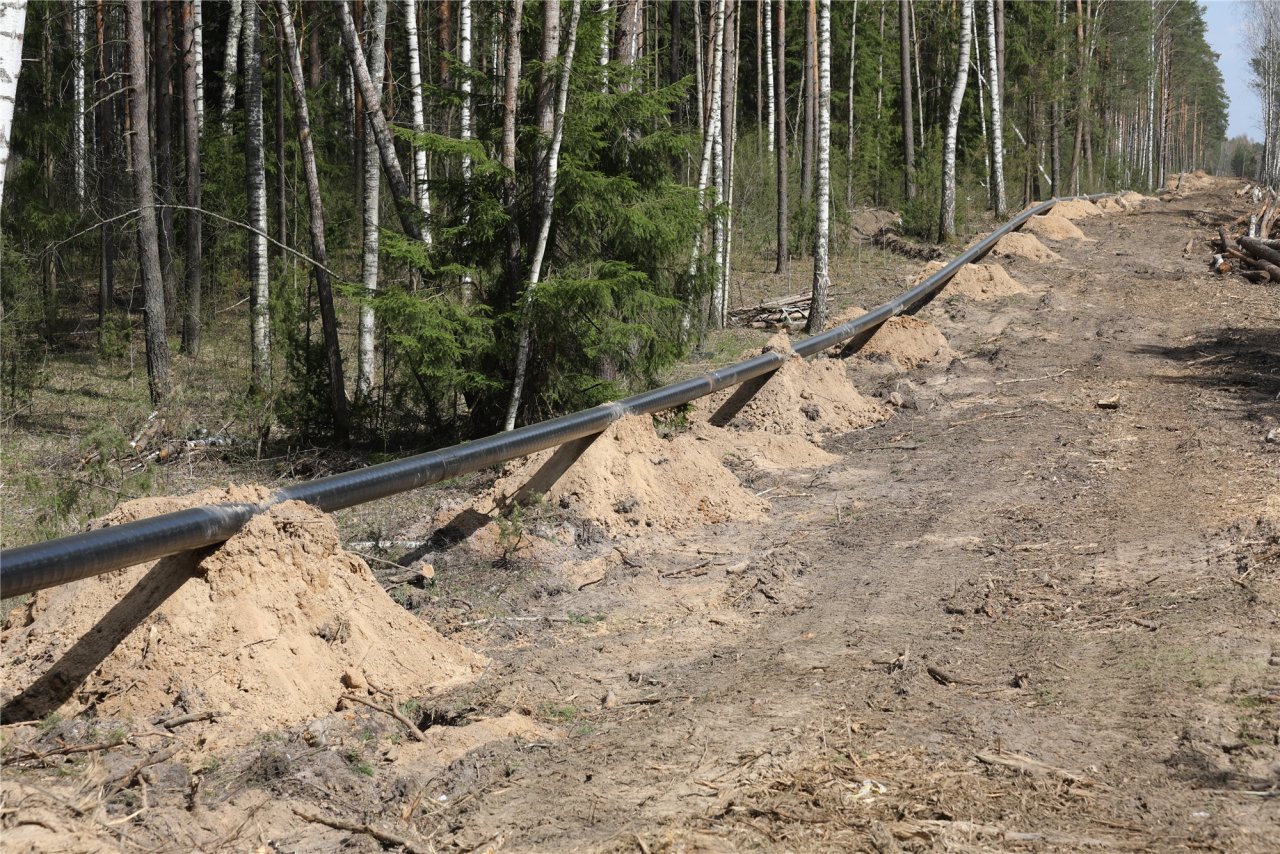 Полоса прорубаемая в лесу. Газопровод в Чувашии. Газопровод Чебоксары. Люди прорубают лес для дорог. ГАЗ В Заволжье Чебоксары.