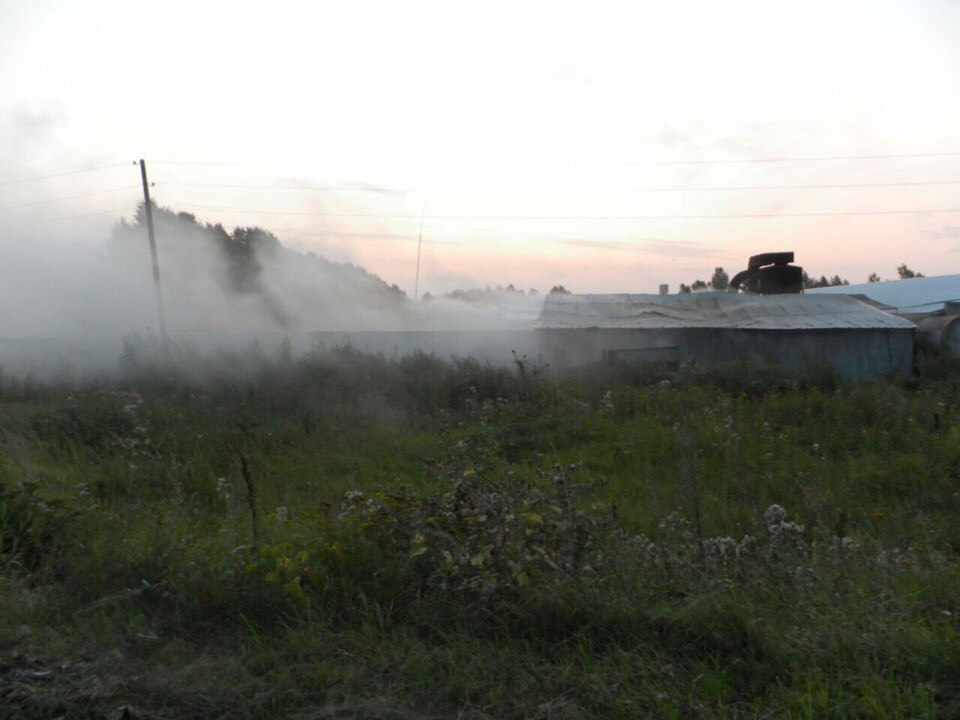 Прогноз погоды в п зарево. П,зарево. Погода зарево.